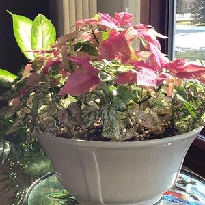 Meet your Posher, Barbara